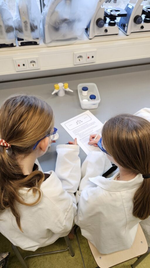 Groep 8 tijdens een proefje met al hun zintuigen